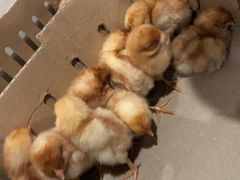 -兴芮温泉度假区