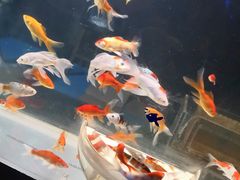 -泉城欧乐堡海洋极地世界