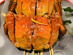 -辛香汇·现炒川菜(淮海路百盛店)