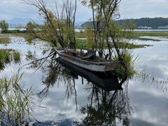 -洱海月湿地公园