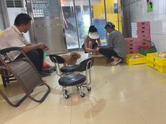 -老袁家蜜桃农场·阳山水蜜桃