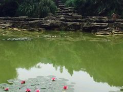 -铁山坪森林公园