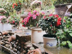 -玫瑰庄园·自助烧烤·烤全羊·团建拓展(龙泉山店)