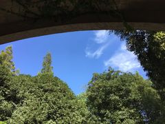 -菊花台公园