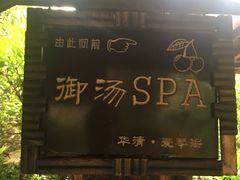 -西安国际创新人才交流中心•药浴温泉