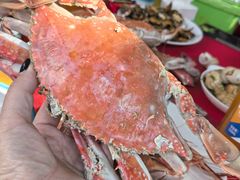 -小红门海鲜