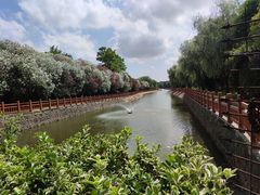 -美兰湖景区