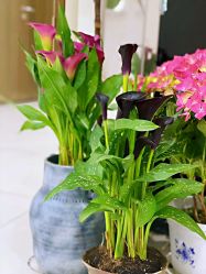 -今日陶艺(富力广场店)