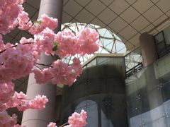 -西北轻工批发市场