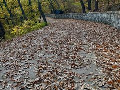 -北京鹫峰国家森林公园