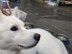 -萌兽医馆·眼科·异宠专科(三里屯店)