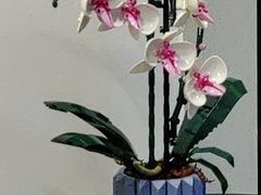 -Again Coffee Roaster(香蜜湖店)