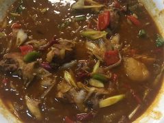 -马黑哥椒麻鸡(清江山水店)