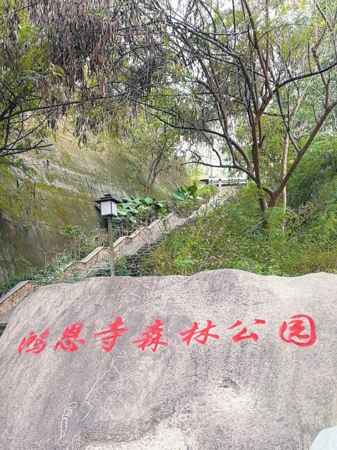 鸿恩寺森林公园