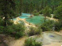 -黄龙山原始森林景区