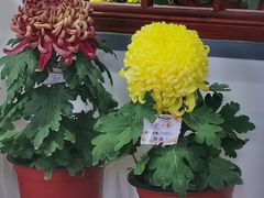 -宣武艺园