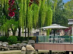 -唐城墙遗址公园