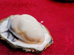 -邹记·美食(斗门店)