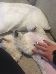 -Hands Nail专业美甲美睫