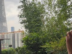 -小茶闲舍·观景商务茶馆(广州塔店)