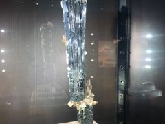 -中国地质大学逸夫博物馆