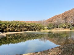 -河南省黄河迎宾馆