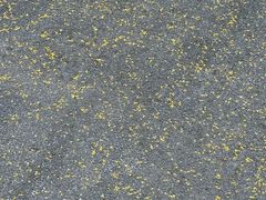 -卡旺卡(合肥天鹅湖置地广场店)