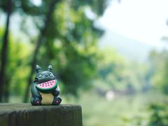-宝岩生态观光园