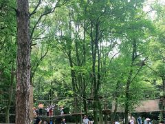 -WeLope紫金山探险公园