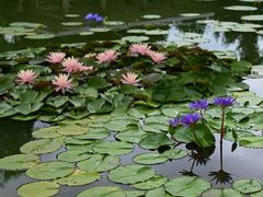 -国家植物园南园