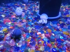 -成都浩海立方海洋公园