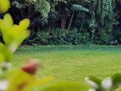 -老洋房花园饭店(绍兴路店)