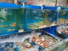 -北方饺子王·海肠捞饭·海鲜锅(山大店)