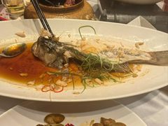 -华膳楼·安徽地标美食·中华餐饮名店(文化公园店)
