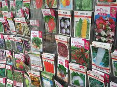 -龙大花卉苗木市场