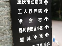 -重庆彩云湖湿地公园