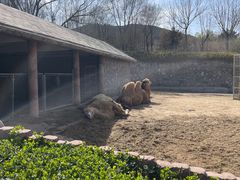 -石家庄市动物园