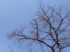 -广州市白云山风景名胜区