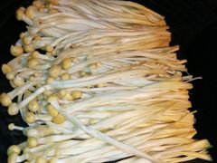 -锅说大脸毛肚重庆老火锅(佐阾店)