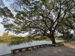 -江心屿景区