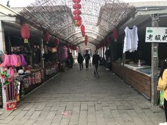 -白洋淀景区