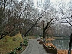 景点-紫霞湖公园