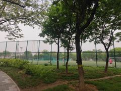 -回龙观体育文化公园