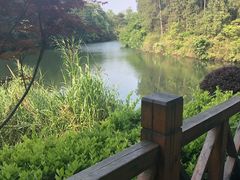 -景德镇中国陶瓷博物馆西山湖凯莱度假酒店