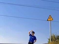 -王借岗森林公园