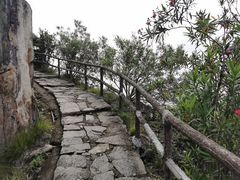 -花岙岛
