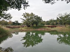 -福田红树林生态公园