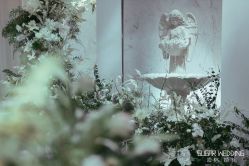 -素格婚礼