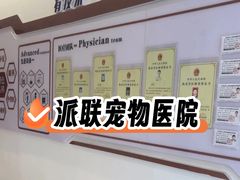 -派联宠物医院·24h·CT·异宠
