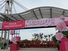 -太阳宫公园